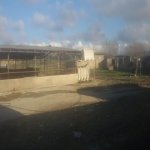 Продажа Объект, Новханы, Абшерон район 2