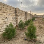Satılır Torpaq, Nardaran qəs., Sea Breeze, Sabunçu rayonu 29