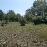 Satılır 6 otaqlı Həyət evi/villa İsmayıllı 4