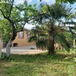 Kirayə (günlük) 3 otaqlı Həyət evi/villa İsmayıllı 4