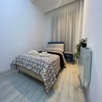 Kirayə (günlük) 3 otaqlı Yeni Tikili, 28 May metrosu, Nəsimi rayonu 9