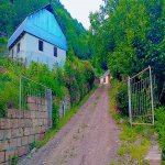 Kirayə (günlük) 3 otaqlı Həyət evi/villa Lerik 8