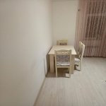 Kirayə (aylıq) 1 otaqlı Yeni Tikili, Saray, Abşeron rayonu 5