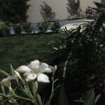 Kirayə (aylıq) 5 otaqlı Həyət evi/villa, Mərdəkan, Xəzər rayonu 16