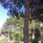 Satılır Torpaq, Novxanı, Abşeron rayonu 8