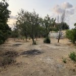 Satılır Torpaq, Saray, Abşeron rayonu 8