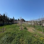 Продажа Участок, Мярдякан, Хязяр район 1