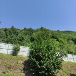 Kirayə (günlük) 4 otaqlı Həyət evi/villa Lerik 16