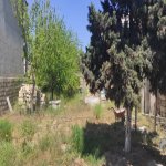 Satılır 5 otaqlı Bağ evi, Novxanı, Abşeron rayonu 13