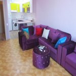 Аренда 2 комнатная Новостройка, м. Насими метро, Насими район 9