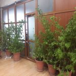 Kirayə (aylıq) 1 otaqlı Ofis, Qara Qarayev metrosu, Nizami rayonu 1