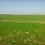 Satılır Torpaq, Masazır, Abşeron rayonu 6