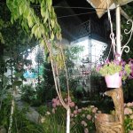 Kirayə (günlük) 3 otaqlı Həyət evi/villa Qax 2