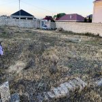 Satılır Torpaq, Şüvəlan, Xəzər rayonu 6