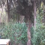 Kirayə (aylıq) Obyekt, Neftçilər metrosu, Bakıxanov qəs., Sabunçu rayonu 3