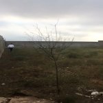 Satılır Torpaq, Novxanı, Abşeron rayonu 8