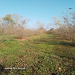 Продажа Участок Хачмаз 1