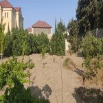 Satılır Torpaq, Novxanı, Abşeron rayonu 5