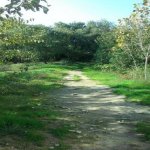 Продажа Участок, пос. Бадамдар, Сябаиль район 1