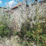 Satılır 3 otaqlı Bağ evi, Buzovna, Xəzər rayonu 21