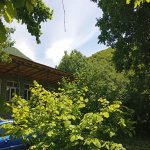 Kirayə (günlük) 4 otaqlı Bağ evi Şəki 2
