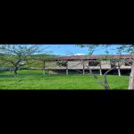 Satılır Torpaq Qəbələ 2