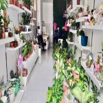 Продажа Объект Хырдалан 4