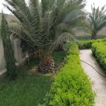Kirayə (aylıq) 5 otaqlı Həyət evi/villa, Mərdəkan, Xəzər rayonu 3