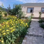 Kirayə (günlük) 3 otaqlı Bağ evi İsmayıllı 18
