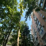 Satılır 2 otaqlı Köhnə Tikili, Gənclik metrosu, Nərimanov rayonu 1