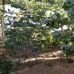 Satılır 7 otaqlı Həyət evi/villa, Sulutəpə qəs., Binəqədi rayonu 6