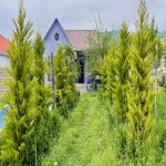 Kirayə (günlük) 4 otaqlı Bağ evi İsmayıllı 20