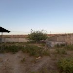 Продажа Участок, пос. Нардаран, Сабунчу район 7