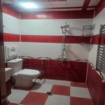 Kirayə (aylıq) 2 otaqlı Yeni Tikili, Yeni Yasamal qəs., Yasamal rayonu 8
