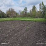 Satılır 4 otaqlı Həyət evi/villa Oğuz 5