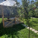 Kirayə (günlük) 2 otaqlı Həyət evi/villa Qəbələ 16