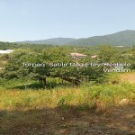 Satılır Torpaq Qəbələ 2