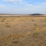 Продажа Участок, Сарай, Абшерон район 1