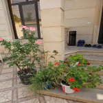 Посуточно 6 комнатная Дома/Виллы Гябяля 9