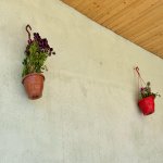Kirayə (günlük) 4 otaqlı Bağ evi, Koroğlu metrosu, Pirşağı qəs., Sabunçu rayonu 14