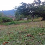 Satılır Torpaq Qəbələ 1