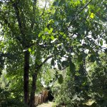 Satılır 4 otaqlı Həyət evi/villa Quba 27
