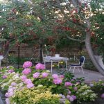 Продажа 6 комнатная Дома/Виллы, Новханы, Абшерон район 3