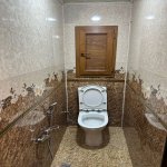 Kirayə (aylıq) 2 otaqlı Köhnə Tikili, Gənclik metrosu, Heydər Əliyev Mərkəzi, Nərimanov rayonu 11