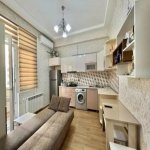Kirayə (aylıq) 1 otaqlı Yeni Tikili, Nəriman Nərimanov metrosu, Nərimanov rayonu 6