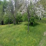 Продажа Участок Гябяля 1