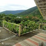 Kirayə (günlük) 3 otaqlı Həyət evi/villa Qax 12