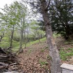 Satılır 10 otaqlı Bağ evi Şamaxı 45