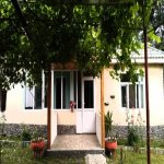 Kirayə (günlük) 3 otaqlı Bağ evi Qəbələ 1