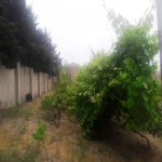 Satılır 5 otaqlı Bağ evi, Buzovna, Xəzər rayonu 10